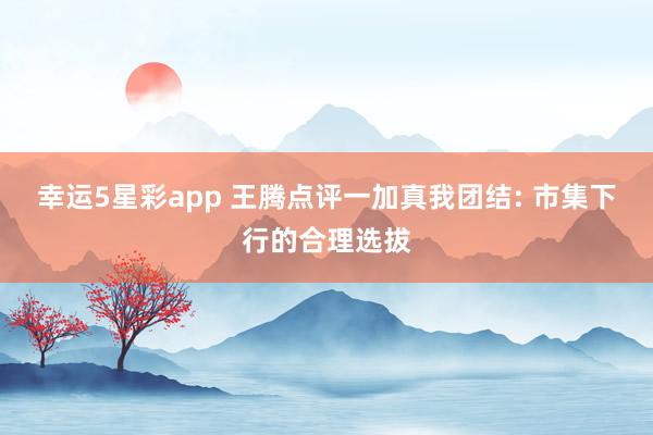幸运5星彩app 王腾点评一加真我团结: 市集下行的合理选拔