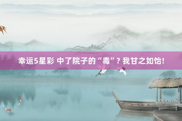 幸运5星彩 中了院子的“毒”? 我甘之如饴!