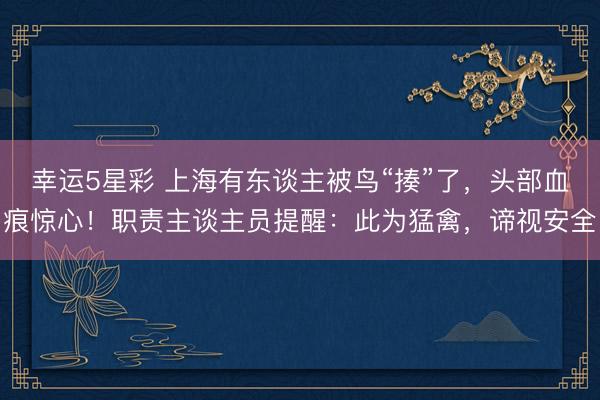 幸运5星彩 上海有东谈主被鸟“揍”了，头部血痕惊心！职责主谈主员提醒：此为猛禽，谛视安全